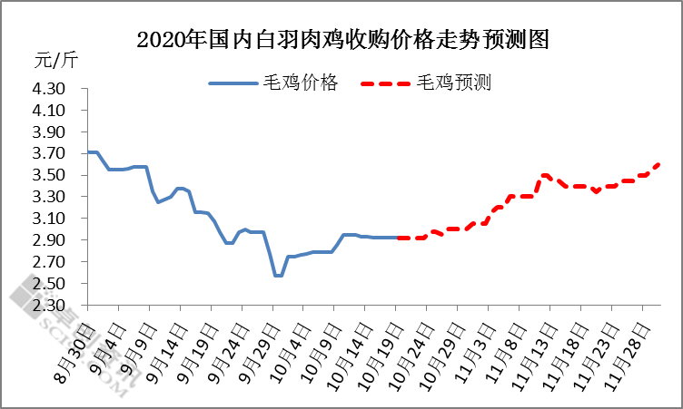 白羽肉鸡价格连稳超10天 鸡价到底涨不涨？