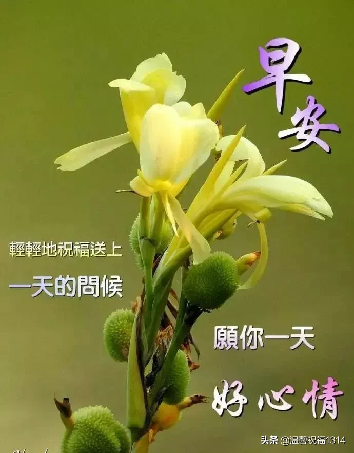 关心的早上好祝福语大全 早上好问候图片和文字图片