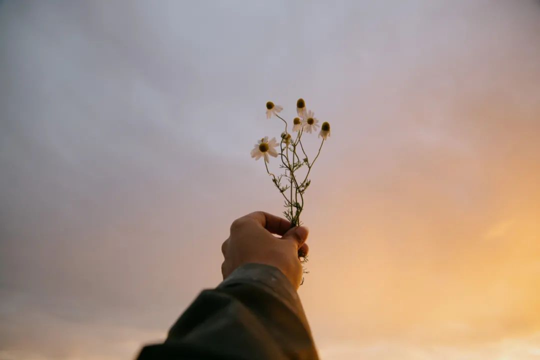 我见过对女性最深的恶意，就是“为母则刚”