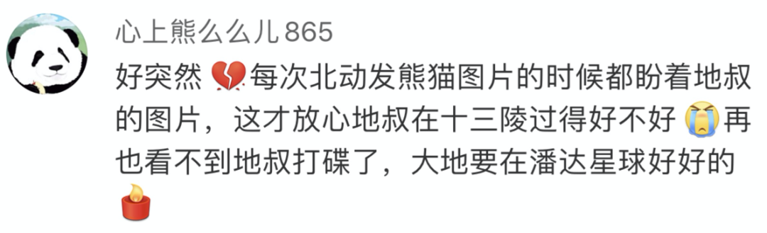 主打置顶|北京动物园“大地叔叔”去世近一个月后，死因公布！网友深情追忆