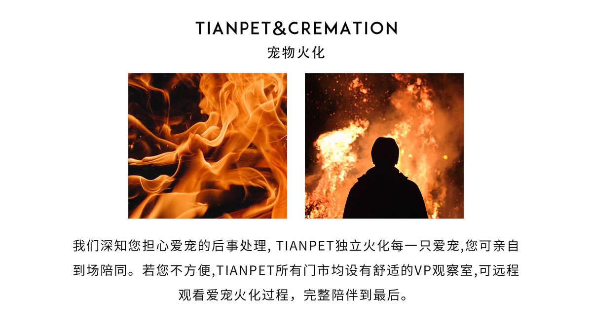 深圳宠物火化｜宠物善终｜宠物殡葬｜TIANPET天宠24h