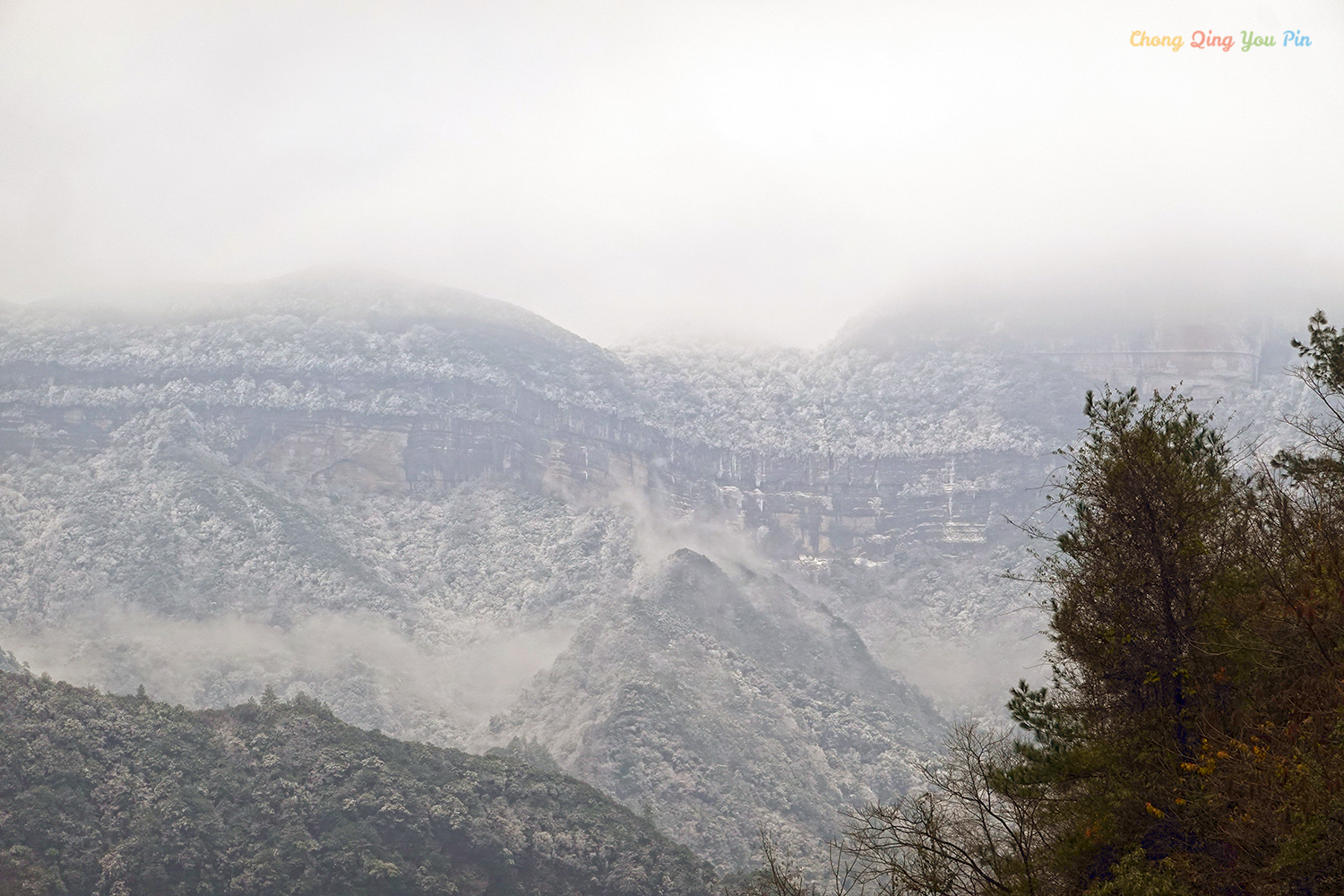 重庆难得的滑雪胜地，冬日里的金佛山，南方人也能看雪了