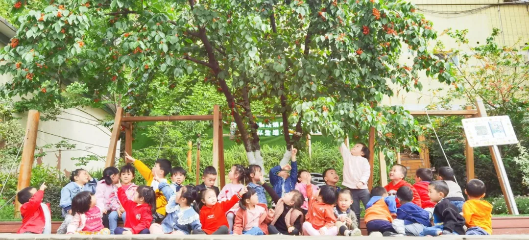 拥抱春天——四川天府新区华阳幼儿园小四班主题活动