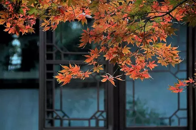 唐诗宋词里的秋天，尽揽山水风月-第2张图片-诗句网
