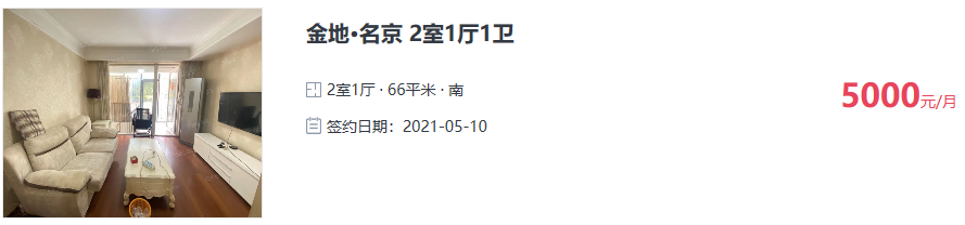 宝，我今天去看盘了，看的什么盘，2021南京最值得期待的公寓盘