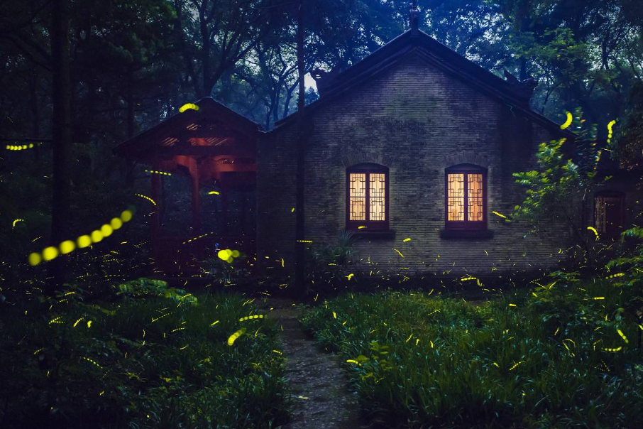 ������һ�����ߺ죬�˳�&ldquo;���µ�һ����&rdquo;�������ɮ���򿰱ȹʹ�