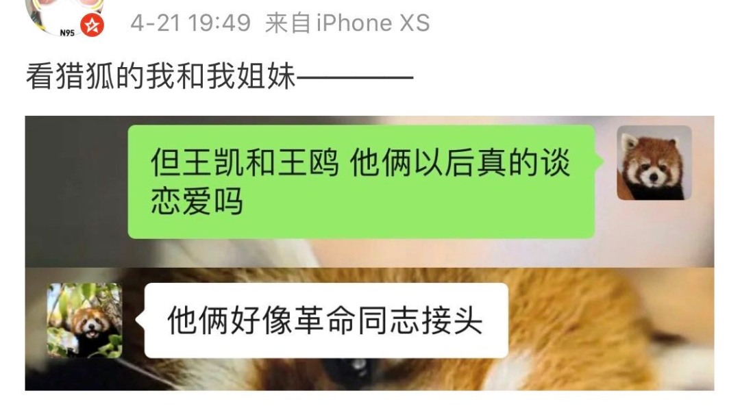 《清平乐》《猎狐》一番霸屏，但王凯离顶级演员还差一步