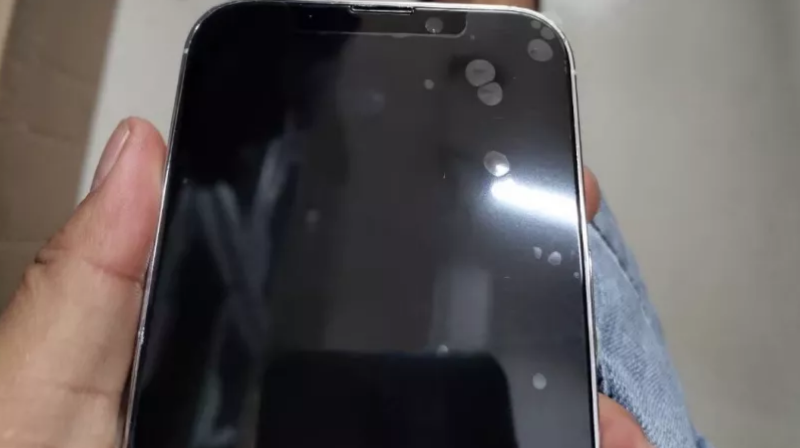 iPhone 13爆料！发布日期、规格和新品iPhone 泄漏，您喜欢吗？