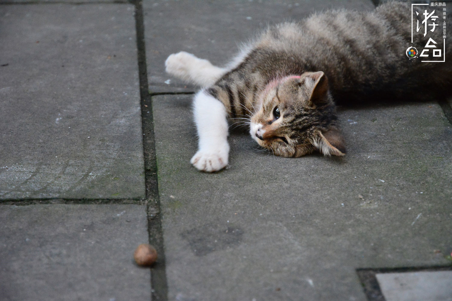 重庆渝中的”城中村“：龙蛇混杂的菜园坝，摩的和算命人纠缠不清