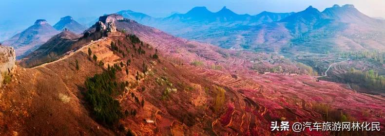 万亩桃花含苞待放，岱崮地貌等你来约