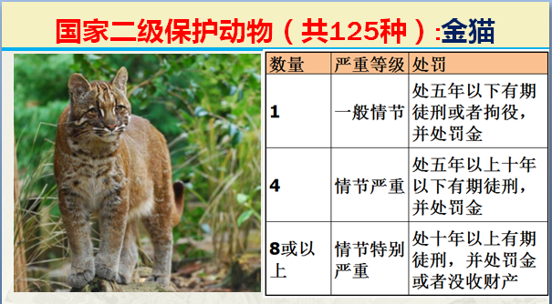 国家最新125类二级野生保护名录，图片及违法对应刑责