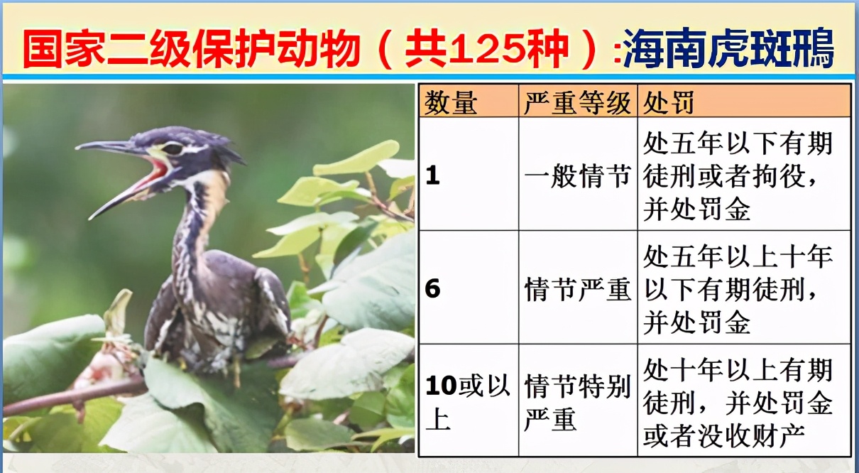 国家最新125类二级野生保护名录，图片及违法对应刑责