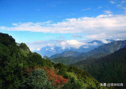 汪应辰：历史上最年轻的状元，遭秦桧排挤打击，后竟被人活活气死