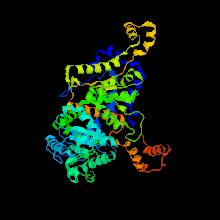 蛋白质研究的新时代：终于实观察蛋白质，是如何正确地发挥作用
