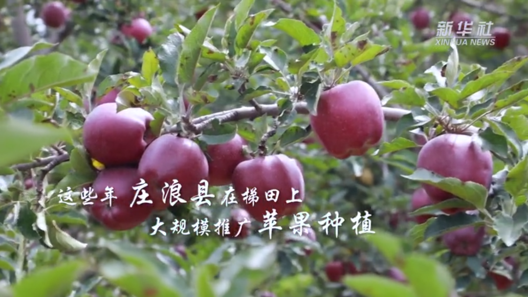 【新华社】庄浪梯田：通往幸福的阶梯