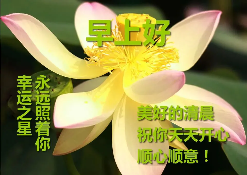 人生如天气，可预料，但往往出乎意料。早安