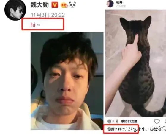 魏大勋520送999朵玫瑰给杨幂，双方默认恋情，坐