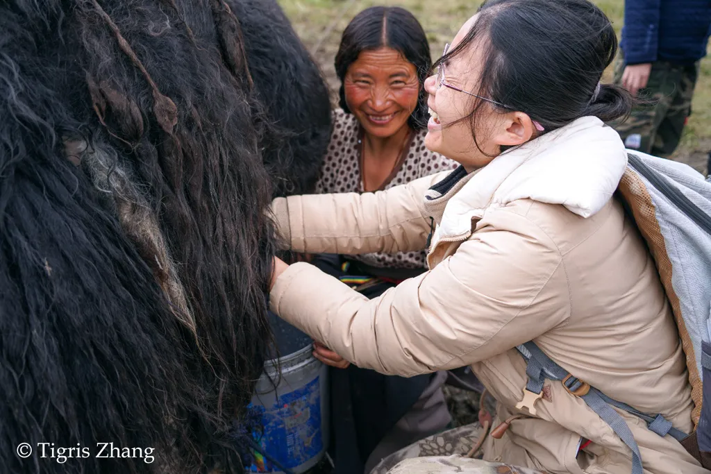 若尔盖生态训练营番外篇—藏民牧场生活体验