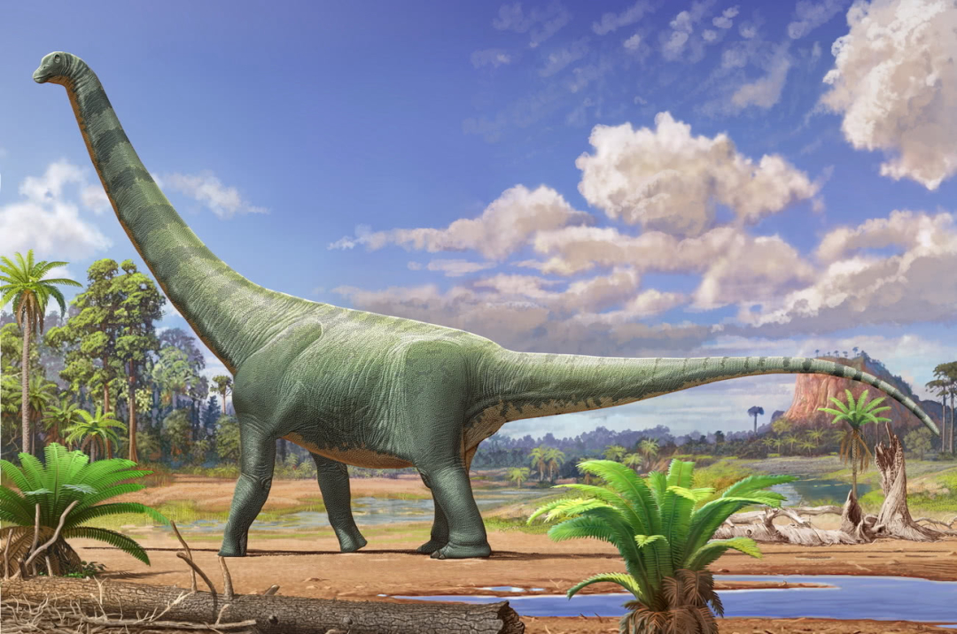 恐龍滅絕當天發生了什麼？ 墨西哥深海岩石樣本找到“決定性”證據
