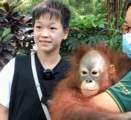 全红婵最新动态！与粉丝在线聊天，60米过山车不刺激，胆子很大