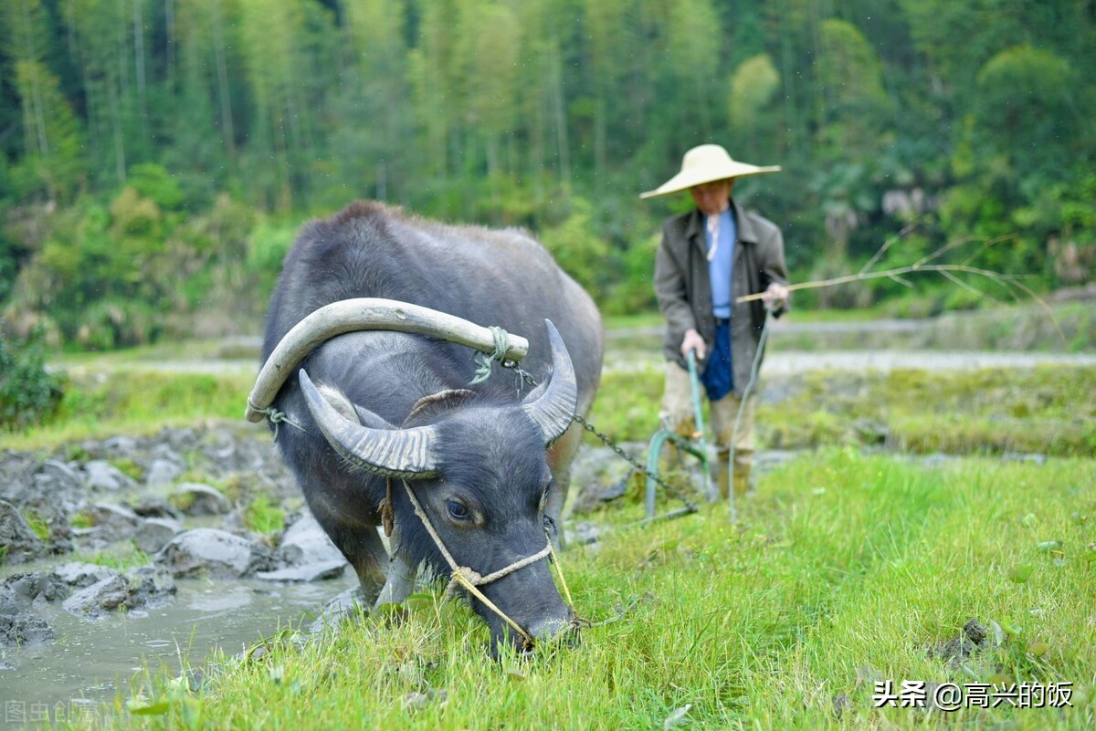 二月二为啥叫龙抬头？老辈儿人：吃龙食、剃龙头，家家才有好彩头