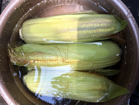 图片[5]-6月玉米季 直接储存难怪会坏 分享1个小技巧 冬天吃照样鲜嫩-起舞食谱网