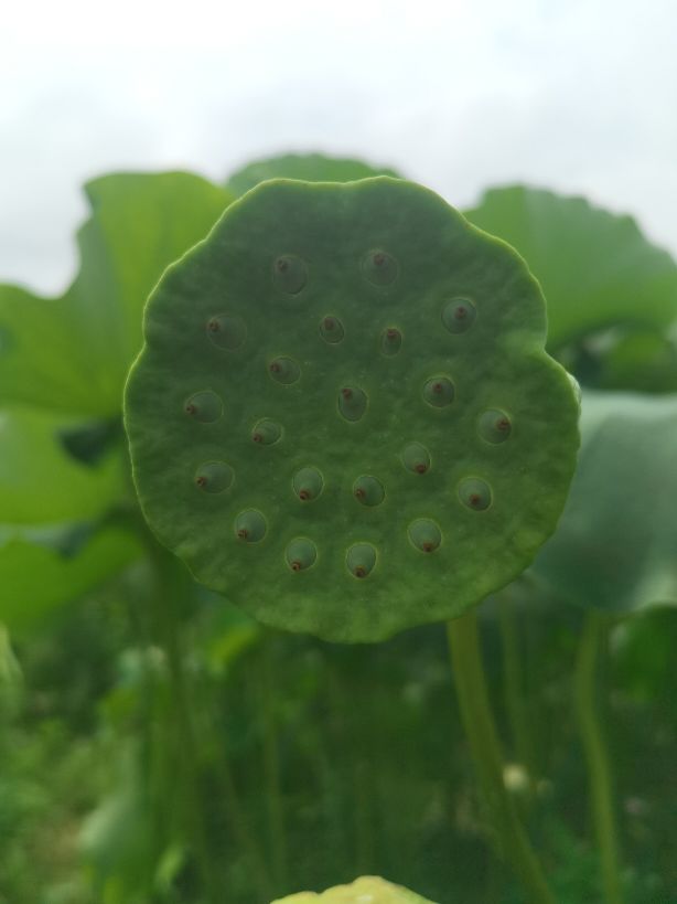 ҵ ǰڶɻĻܿĻ