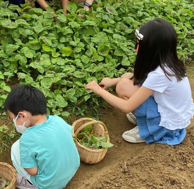 梁咏琪女儿幼儿园毕业，和同学郊游身高优越，弹唱妈妈的歌超治愈
