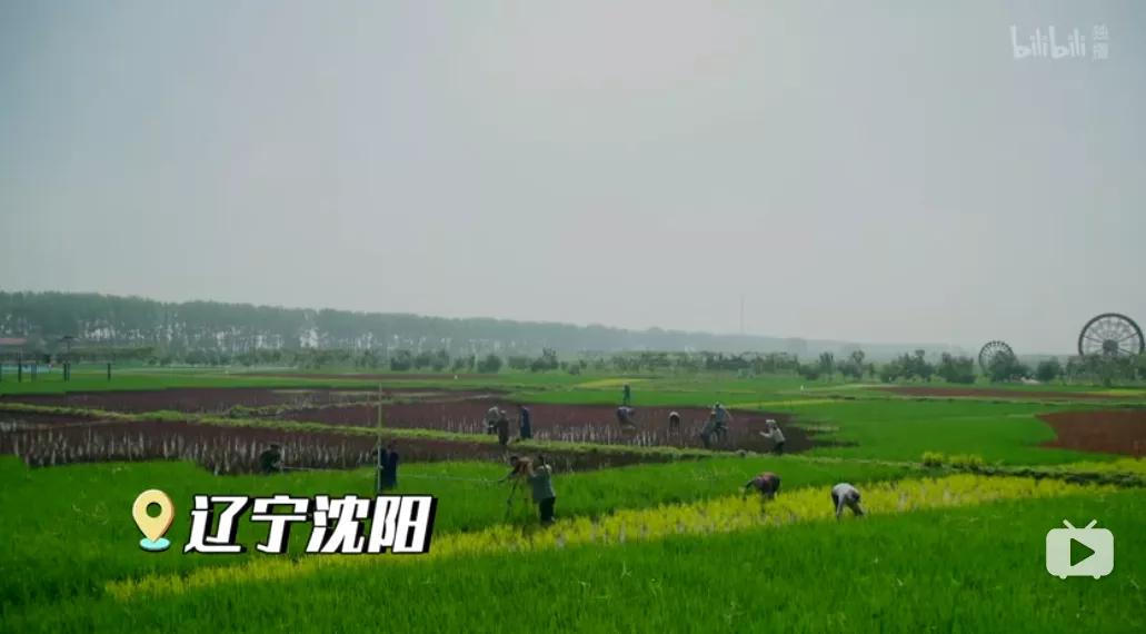 十一想玩不知道去哪？这些《我和我的家乡》拍摄地值得打卡
