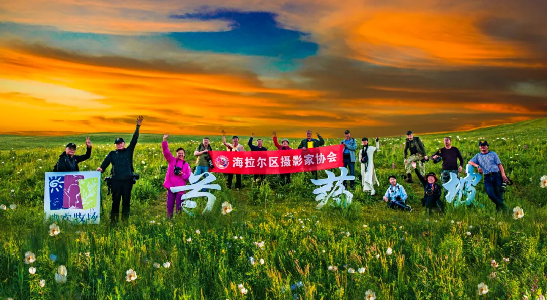 呼伦贝尔撒欢农场:到此赏花正当时