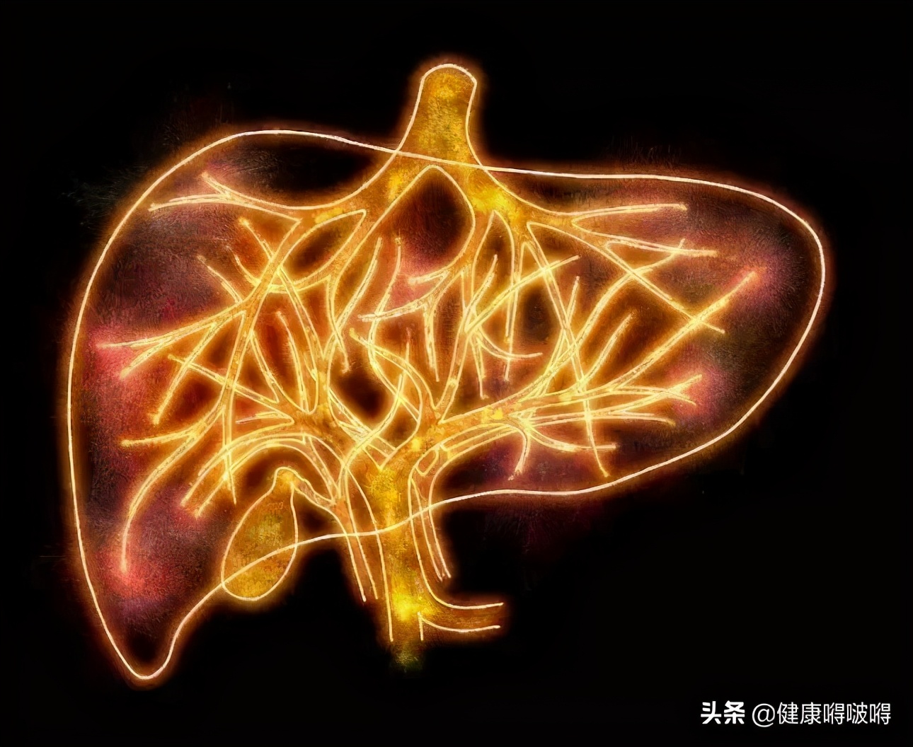 春養肝，正當時，堅持�一清、二少、三多、四不�，肝好你更好