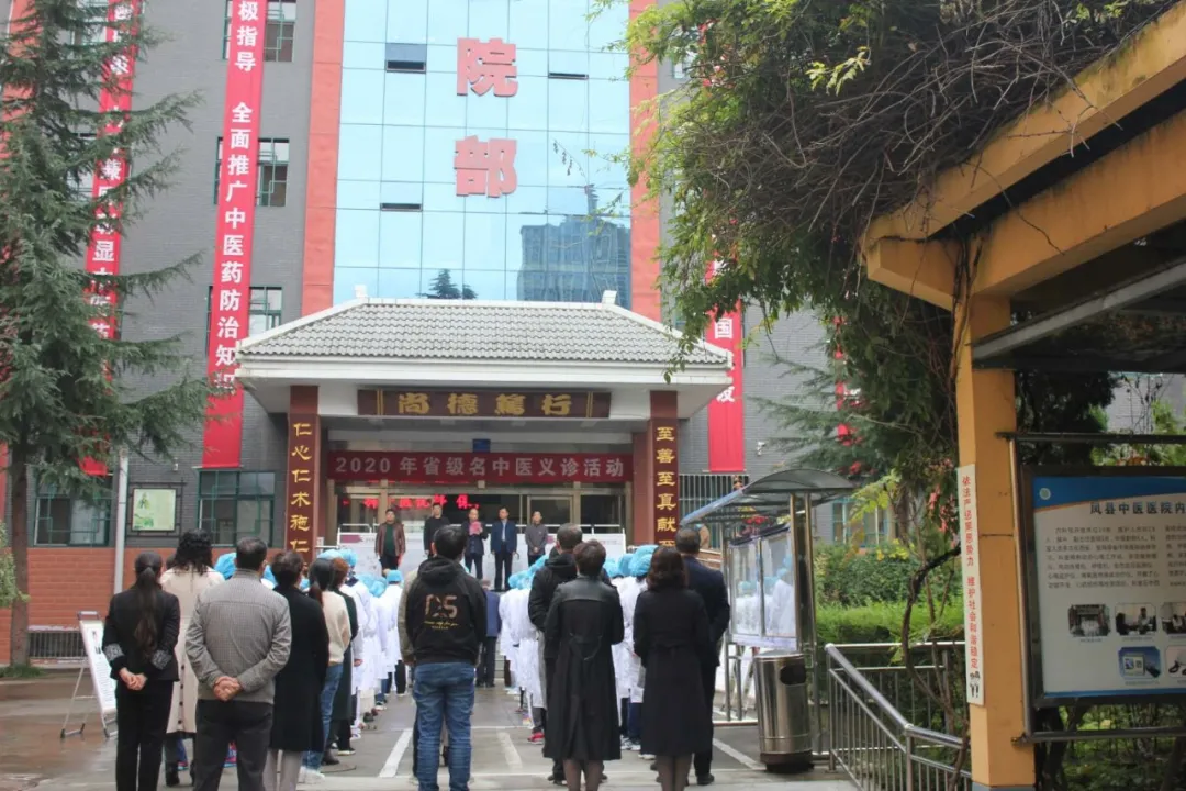 世界传统医药日｜省“中医中药中国行”大型义诊活动走进凤县