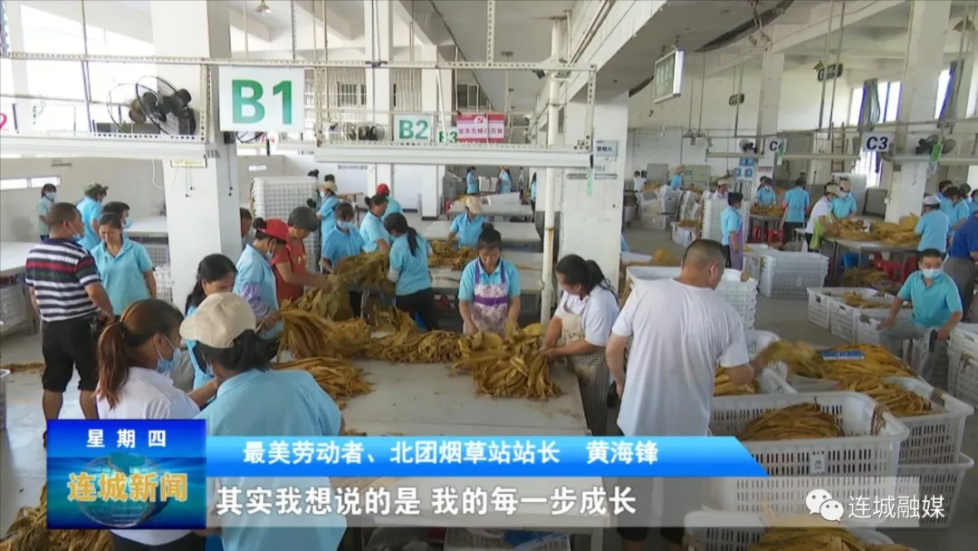 「最美劳动者」黄海锋：积极服务烟农 助农增收致富
