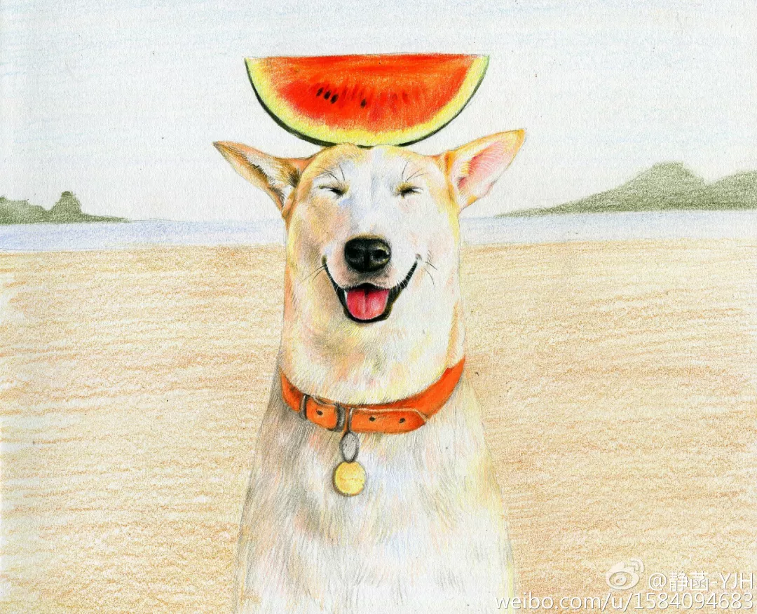 彩鉛動物入門教程｜可愛逗B<a href=/zhonglei/gou/ target=_blank class=infotextkey>狗</a>(馬可帶色號)
