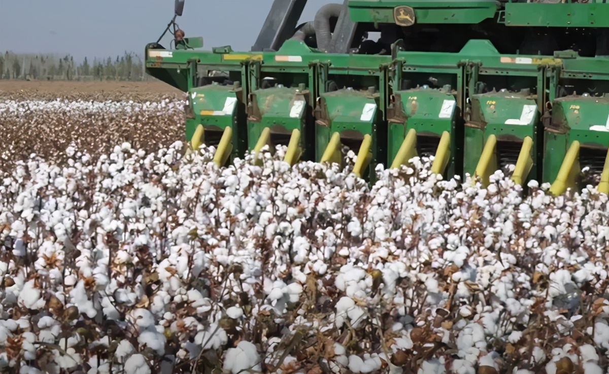 H&amp;M玩火自焚！央视公布其面临悲惨现状，在中