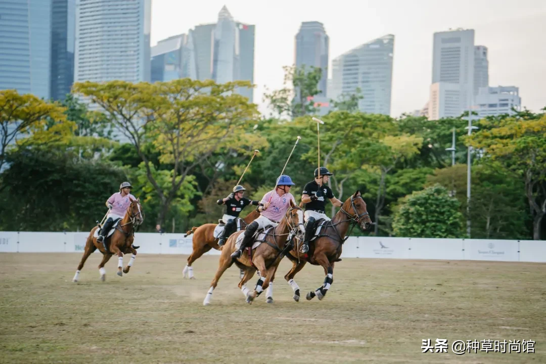 Polo衫 + 高腰下装 = 王炸显高