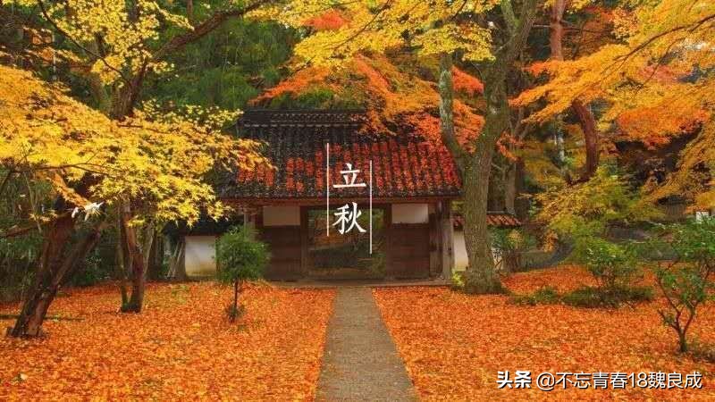 四季歌，春，夏，秋，冬吟诗四首-第4张图片-非凡网