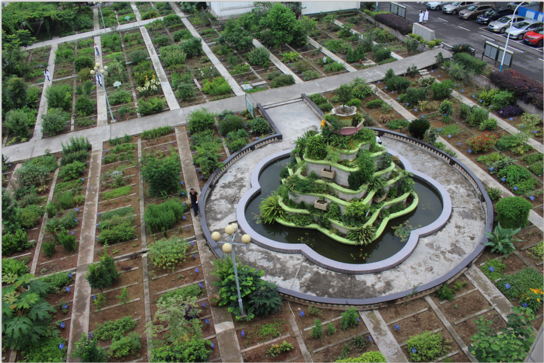 国庆旅游去哪玩？这些四川省中医药基地了解一下！