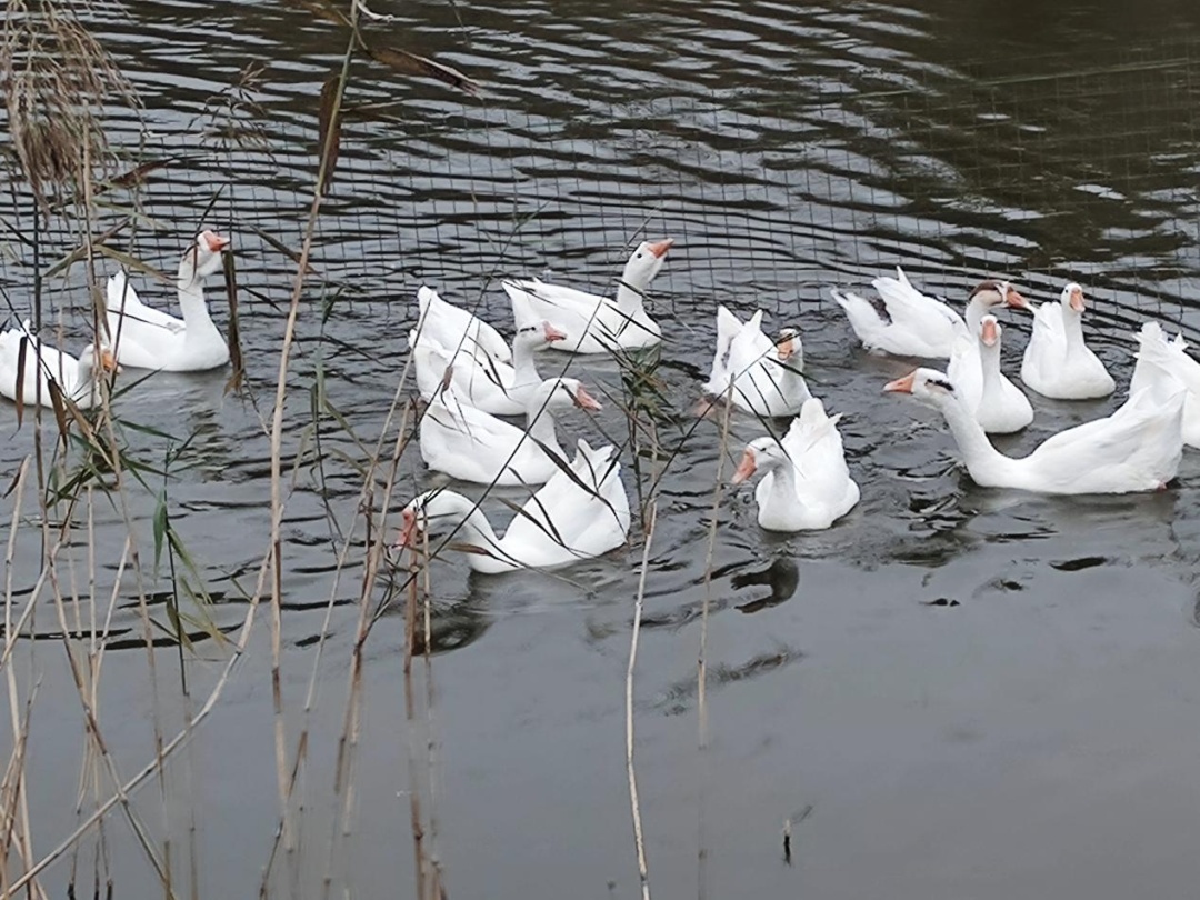 �׽����������Ļ����ν����湥�ԡ��ʺ�����