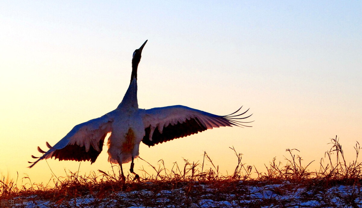 有什么话想送给一事无成的年轻人？