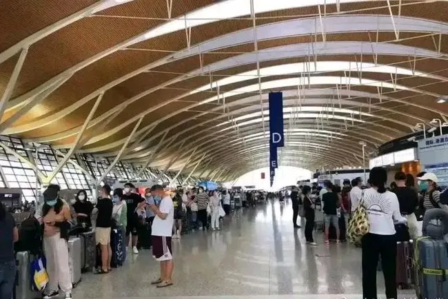 花了140万留学美国,回国工资仅4500?数据揭晓疫情后的海归现状