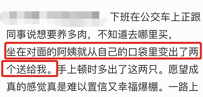 为什么人一过40岁，就喜欢把家里搞成植物园？