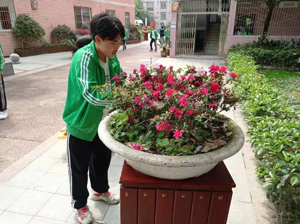 卫生是根本 运动是方式丨双流建校开展春季校园爱国卫生运动