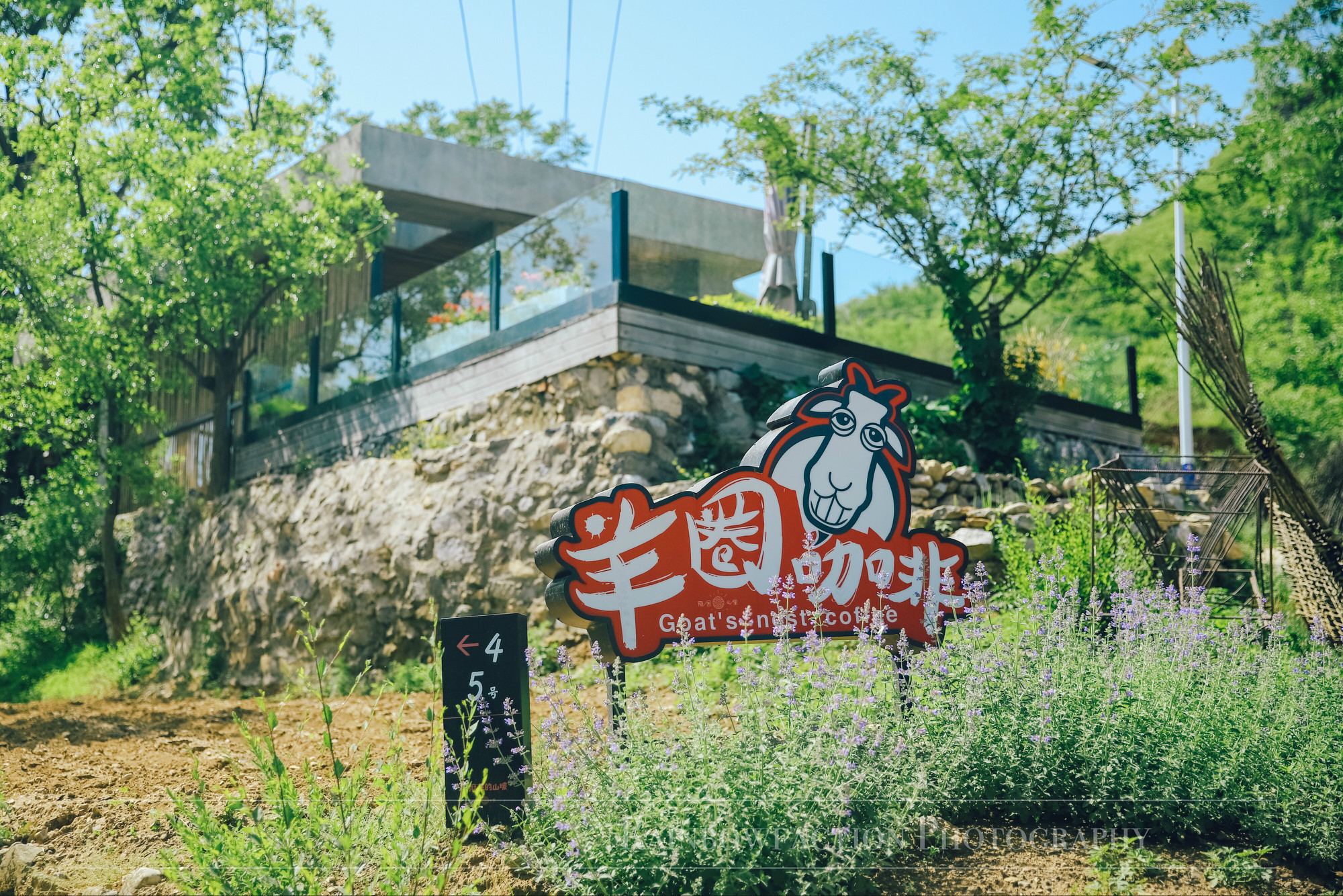 北京周边夏日玩水好去处！在麻麻花的山坡做一场关于夏天的梦