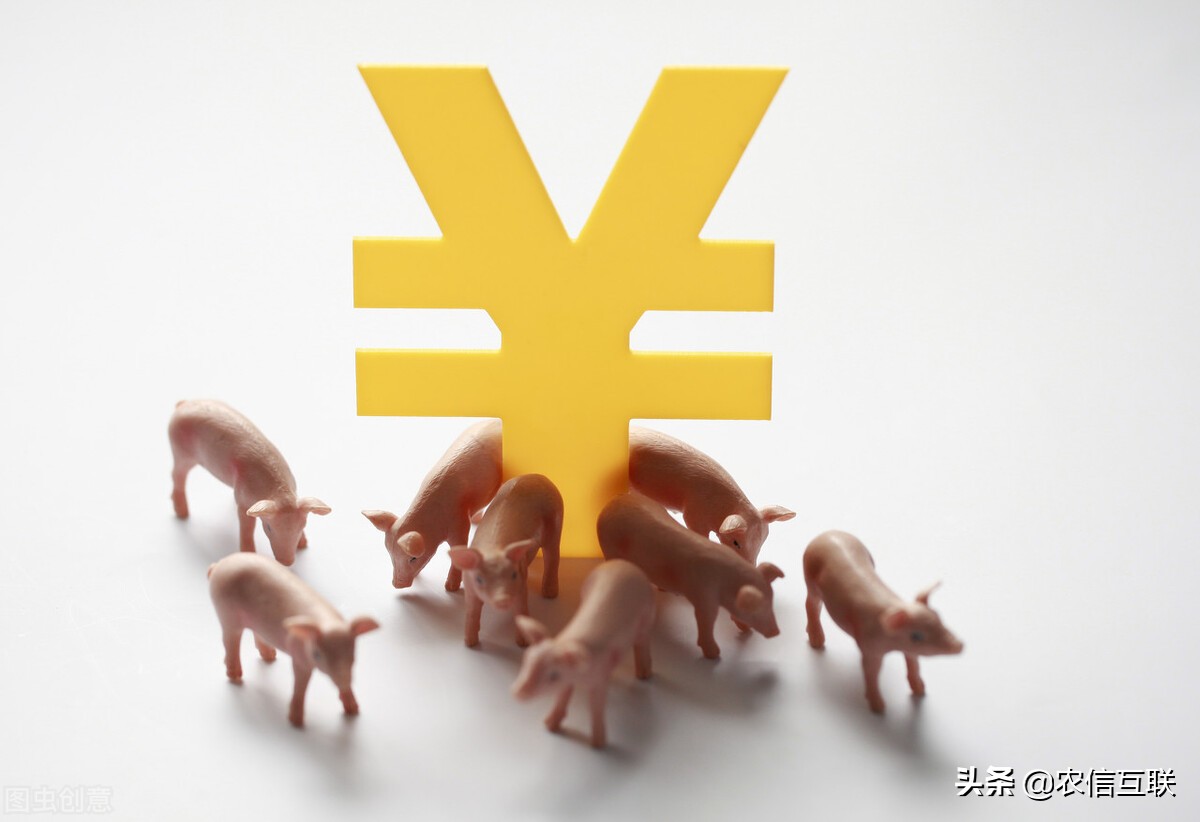 “9元猪”时代来临，屠企挥刀，要跌成一地猪毛？最新行情预警
