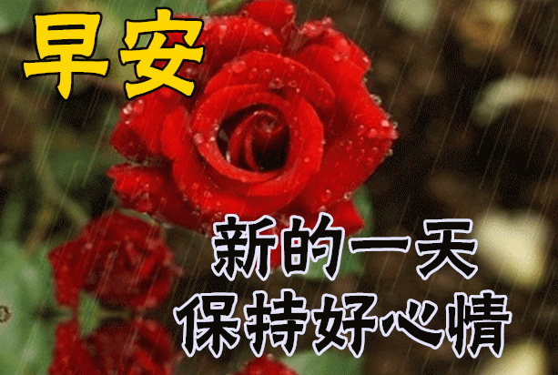 清晨问候早安的简短语句，新的一天早安祝福语精美语句图片