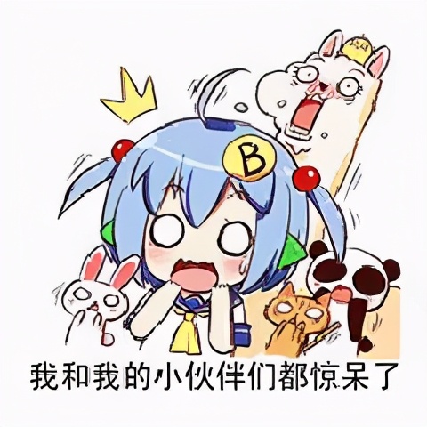從“幾何深度學習”看深度學習江湖的統(tǒng)一