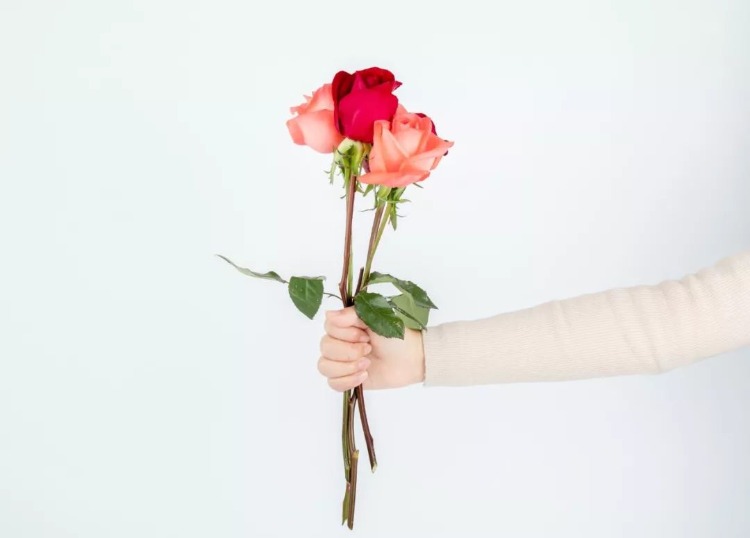 520ʫ100䣬䶼ǡҰ㡱