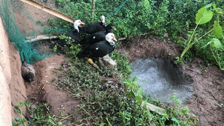 33万人埋伏隐居吧：年纪轻轻住在山里，挖笋40天可赚1万