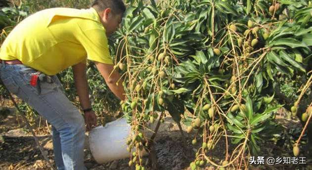 农乐生物 生物菌剂价格贵?教你通过扩繁降低成本